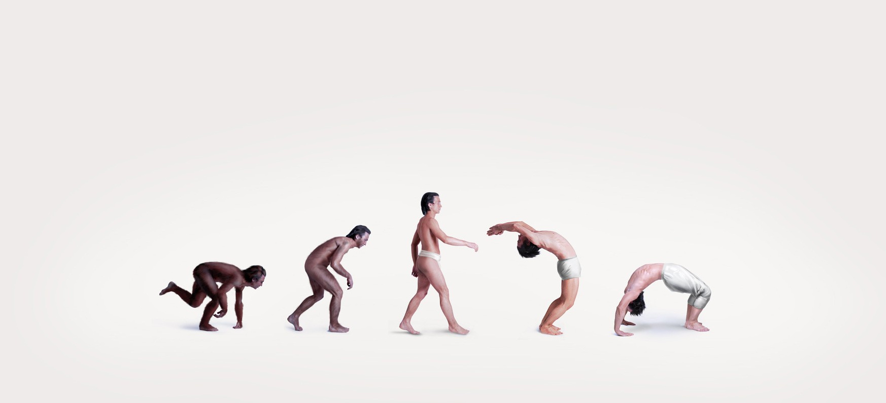 human evolution